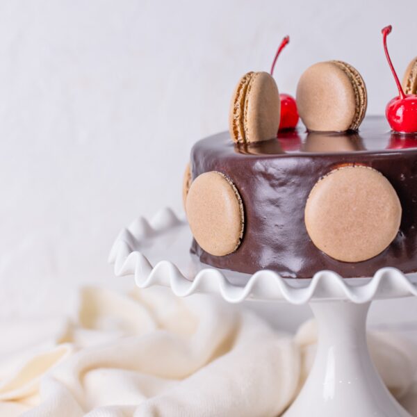 Boston Chocolate - Image 2